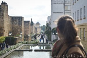 Cordoba