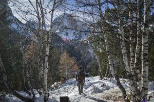 Vistas desde el bosque de los piscos conocidos como Els Encantats
