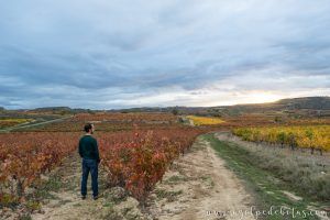 La Rioja viñedos otoño