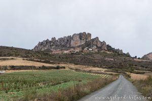 Cellorigo