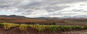 Viñedos de La Rioja