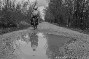 Canal de Castilla Palencia