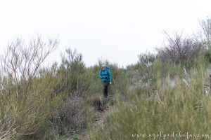 Ruta de subida a las Machotas desde la Silla de Felipe II