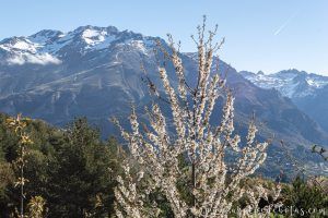 Vistas Sierra Tendeñera en la subida por la pista forestal hacia el ibón de Piedrafita