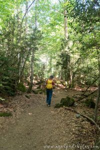 Hombre caminando por un bosque de hayas
