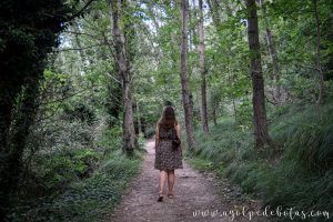 Mujer de espaldas paseando por un bosque