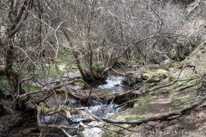 Arroyo a las faldas de Somosierra