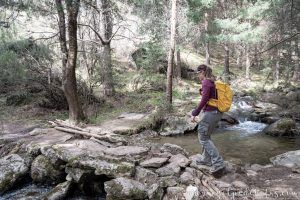 Mujer cruzando un arroyo en un bosque