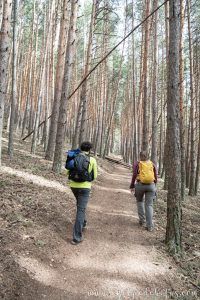 Dos personas caminando por una pista atravesando un bosque