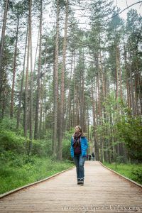 Mujer caminando por una pasarela de madera entre arboles