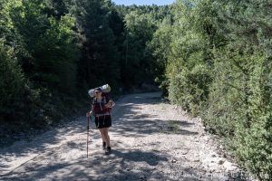 Mujer caminando por una pista forestal entra arboles