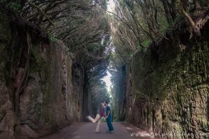 Camino viejo al Pico del Inglés