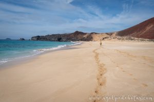 Inmensa playa de arena dorada de la isla La Graciosa en las islas Canarias