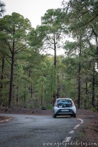 Carretera escénica por el Parque Natural de Tamadaba