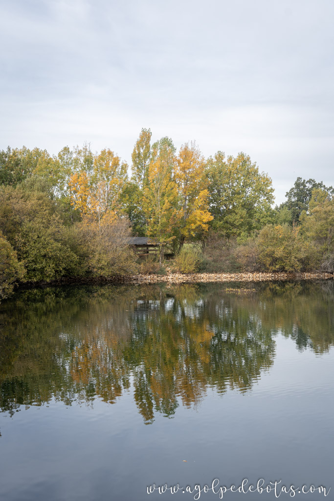 Laguna del Salmoral de Prádena del Rincón