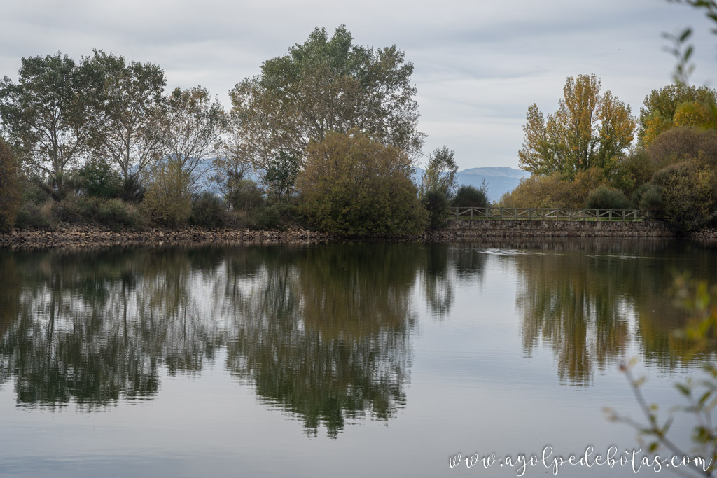 Laguna del Salmoral de Prádena del Rincón