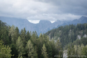 Carretera panorámica de Solčava y Logarska Dolina