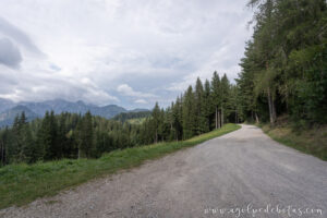 Carretera panorámica de Solčava y Logarska Dolina