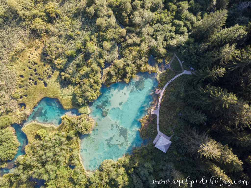 Lago Esmeralda de la Reserva Natural de Zelenci a vista de dron en Eslovenia