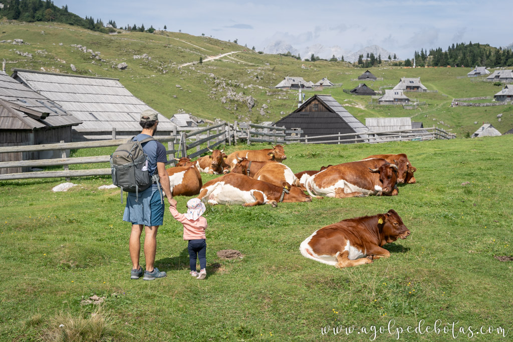 Padre e hija viendo las vacas que pastan en Velika Planina