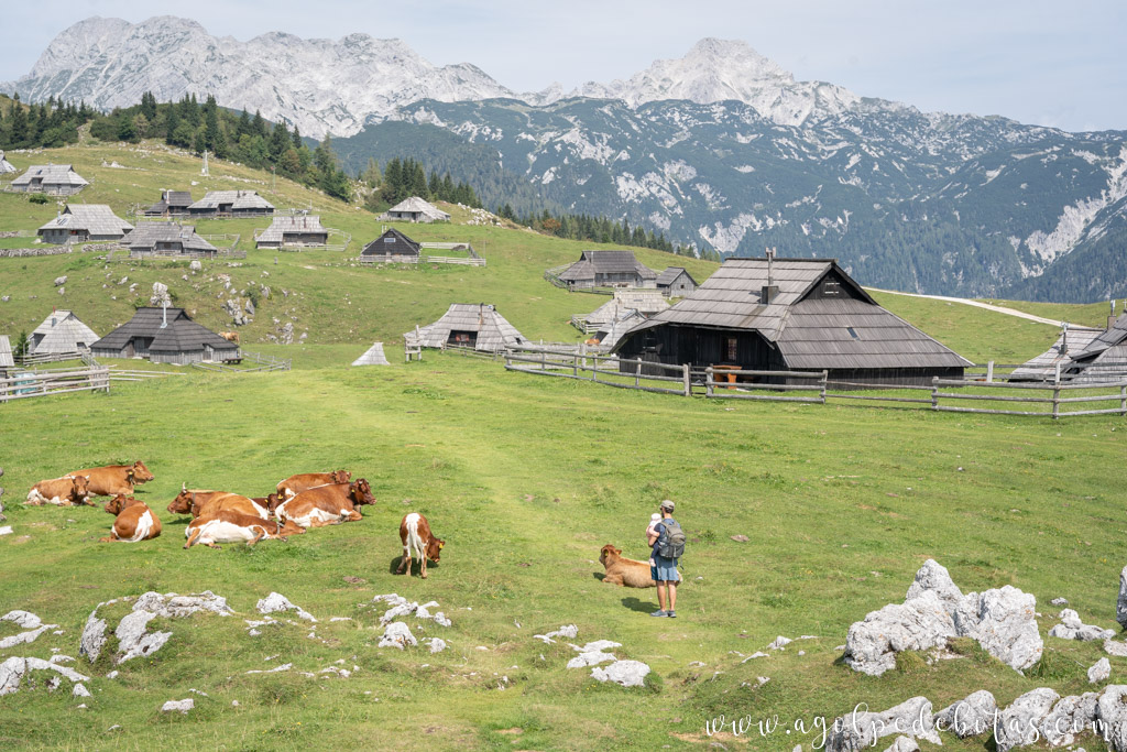 Velika Planina - Eslovenia