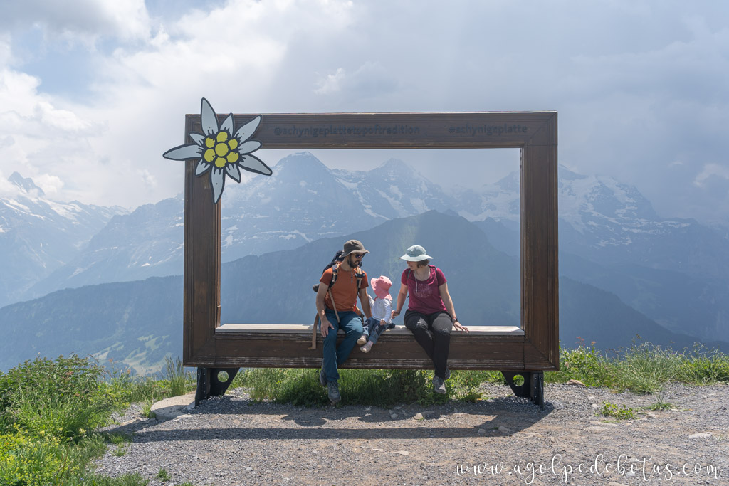 Familia en uno de los miradores de Schynige Platte