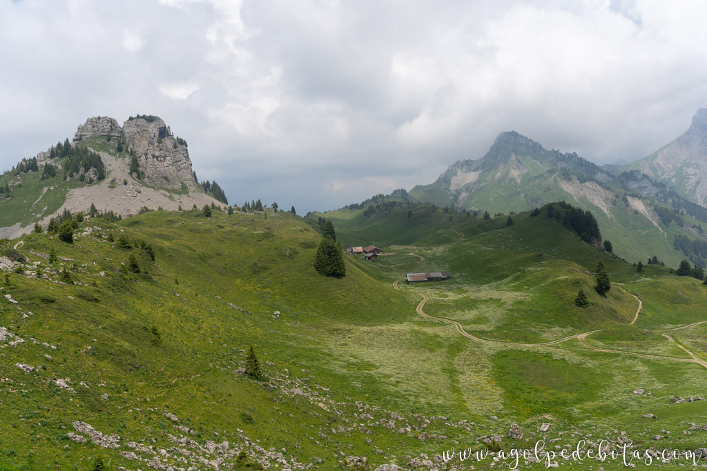 Vista de la cresta del Oberberghorn. Senderismo en Schynige Platte