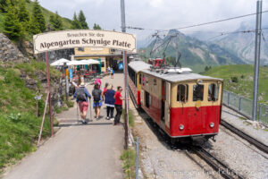 Tren panorámico de Schynige Platte