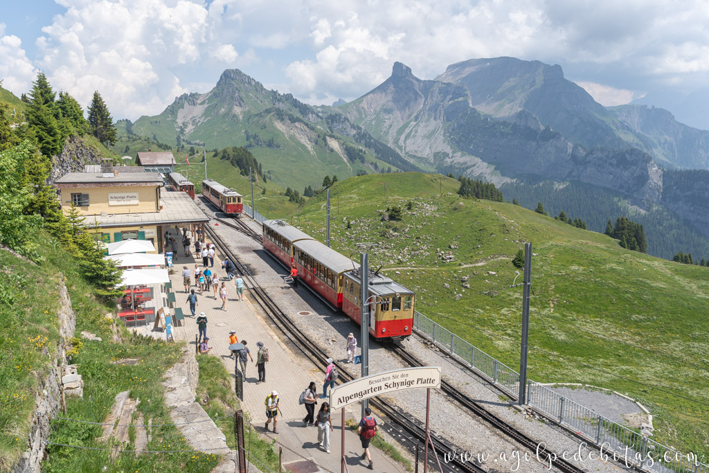 Tren histórico de Schynige Platte
