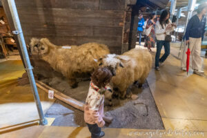 niña en el museo del Matterhorn en Zermatt